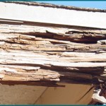 carpenter work and wood rot repair